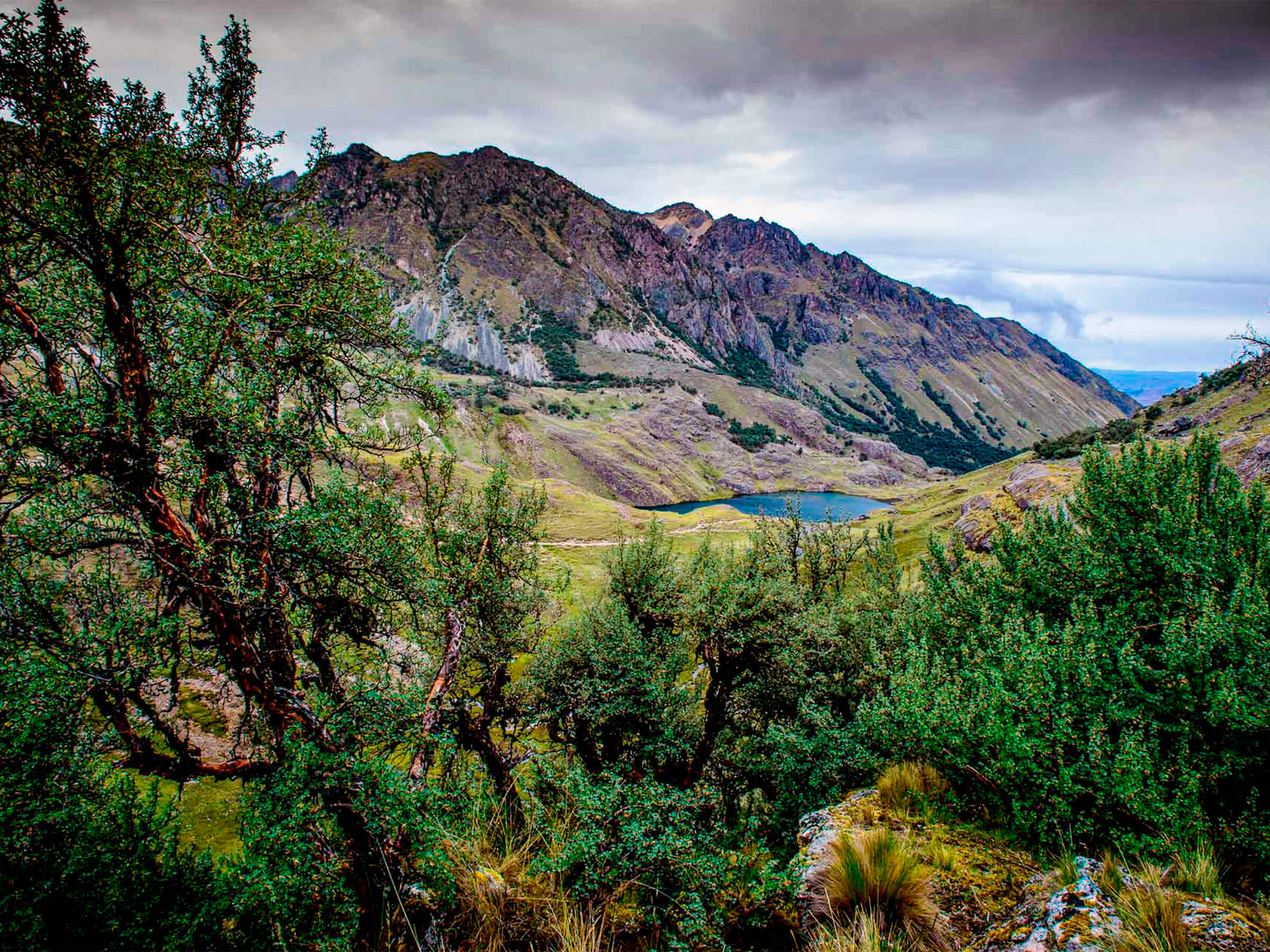 Sacred Valley Tour Connection Machu Picchu 2 Days / 1 Night