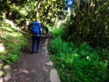 Classic Inca Trail To Machu Picchu 4 Days / 3 Nights