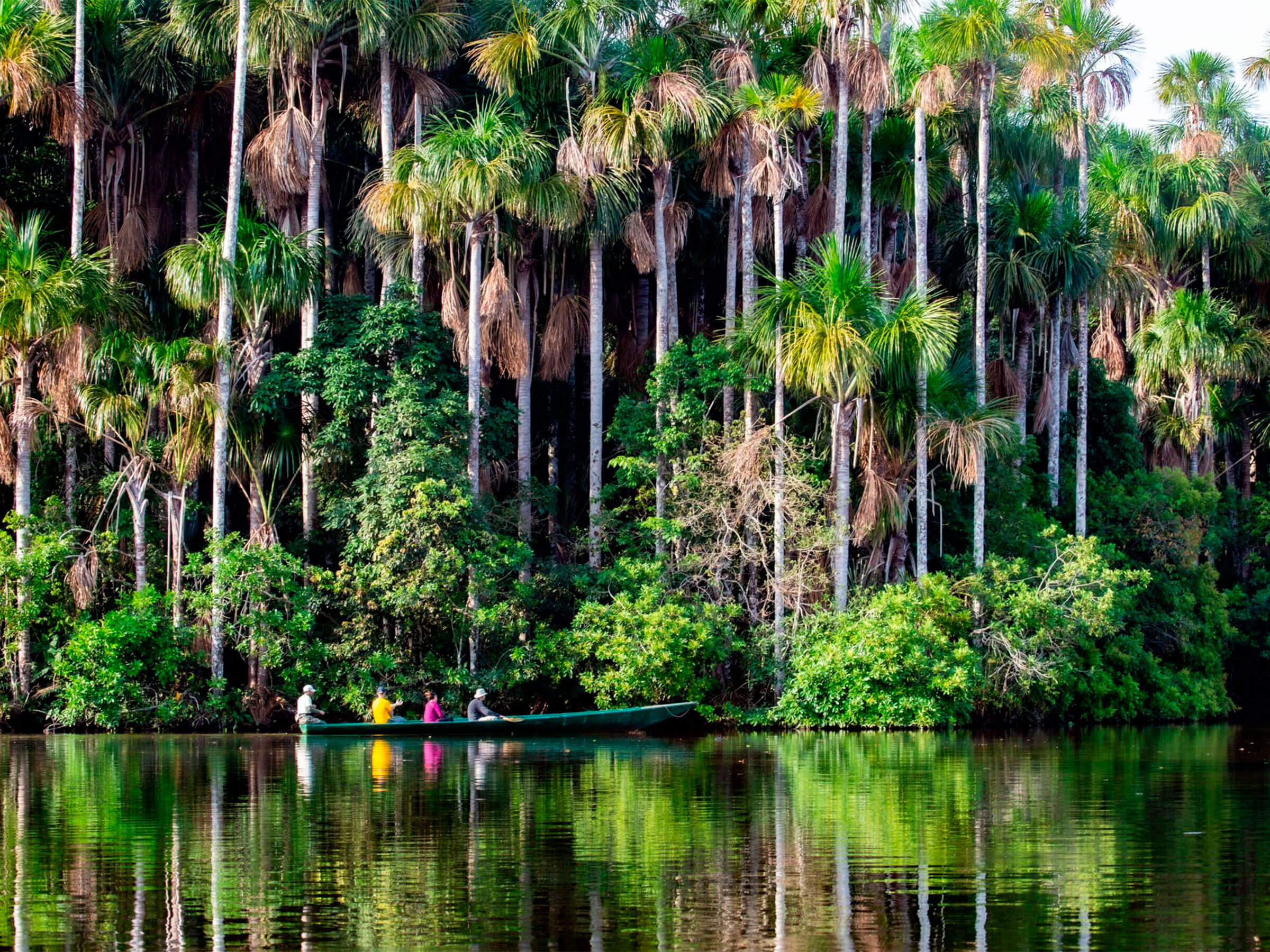 Puerto Maldonado Tambopata Macaws Clay Lick 5D/4N