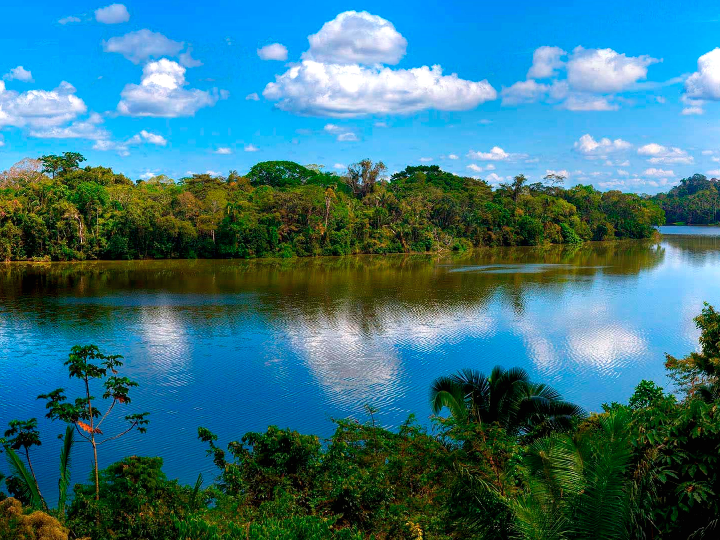 Puerto Maldonado Tambopata 3 Days / 2 Nights