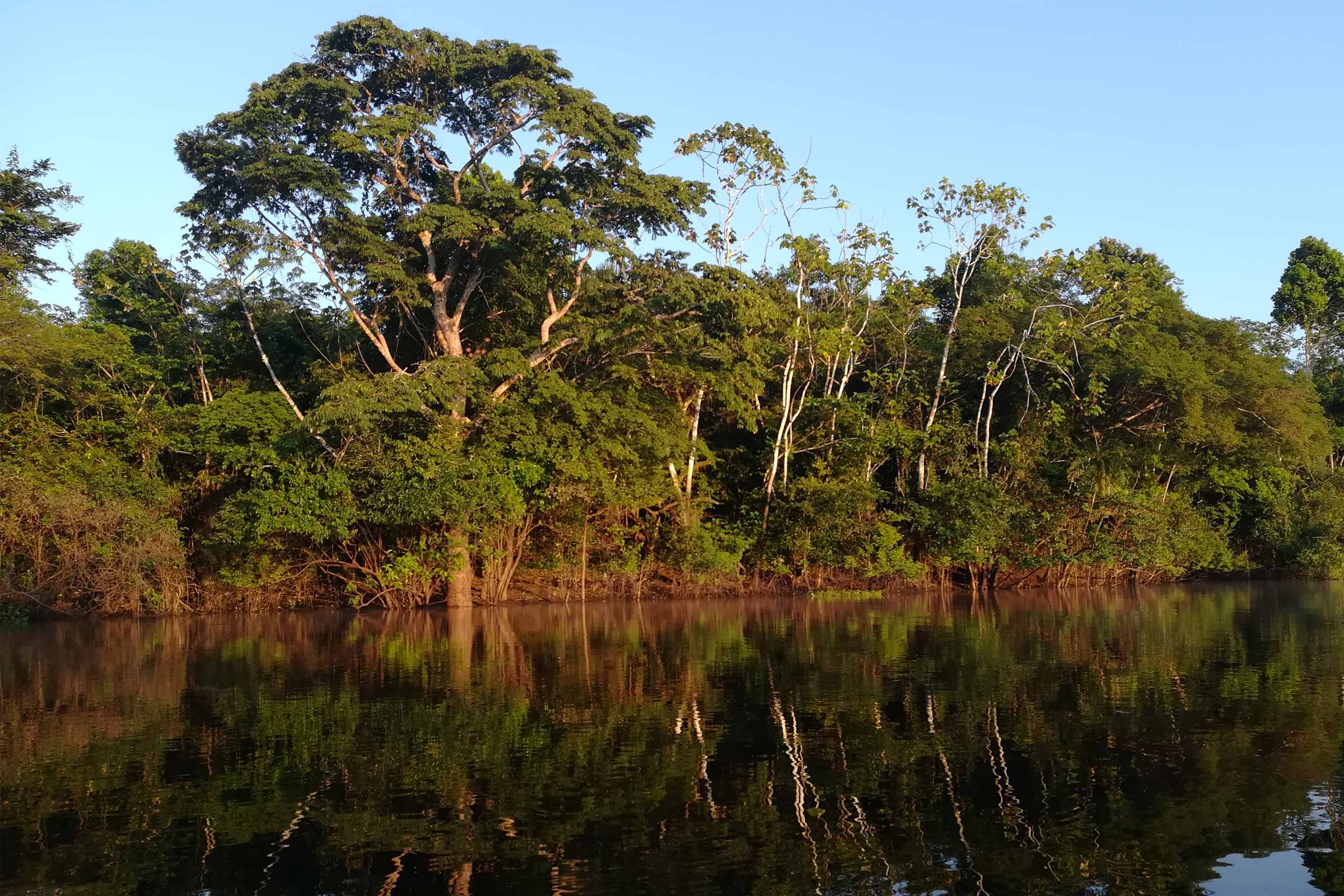 Pacaya Samiria National Reserve 4D/3N