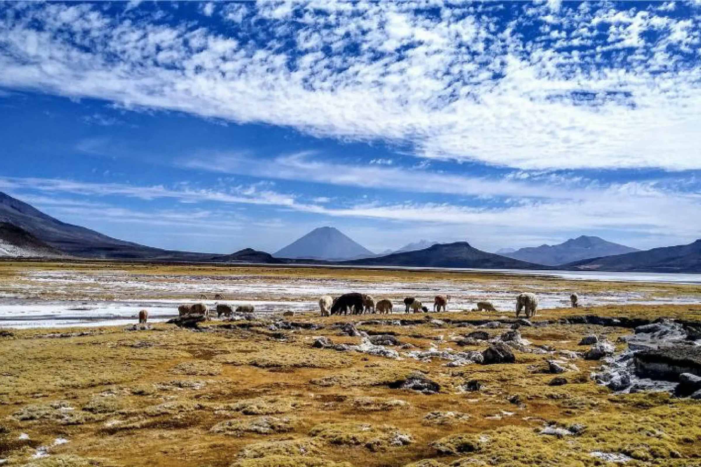 Salinas Aguada Blanca Tour 1 Day