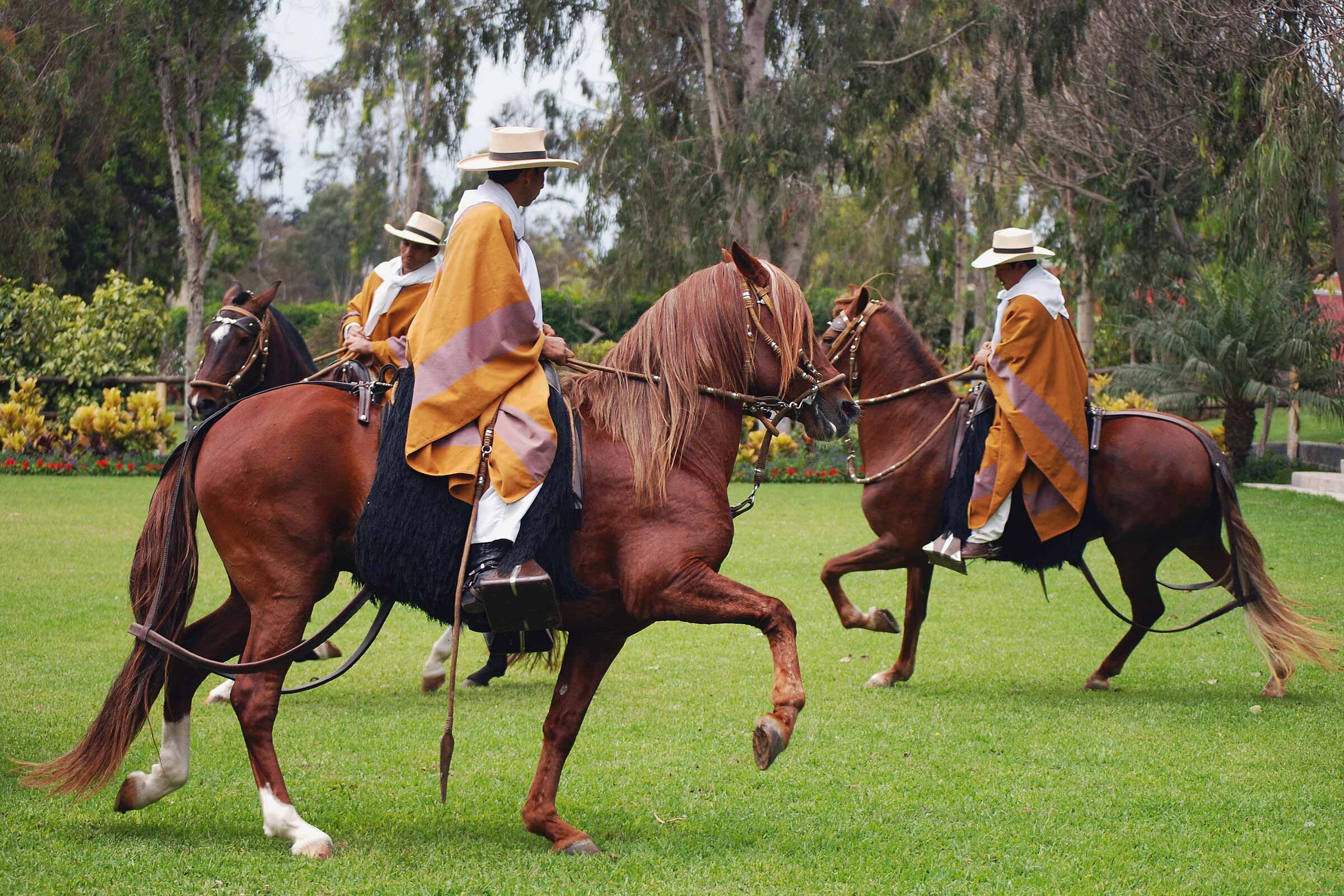 Lima Horseback Riding Tour + Dinner Show