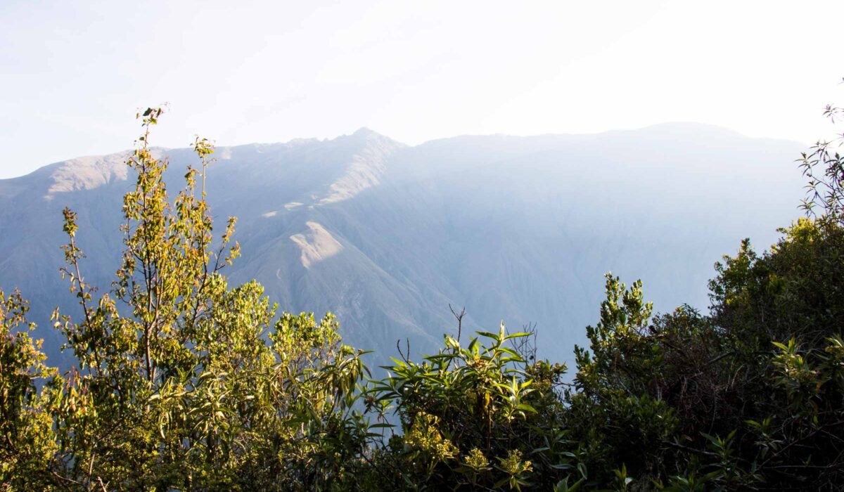 Flight of the Condor Cusco Apurimac Canyon Full Day
